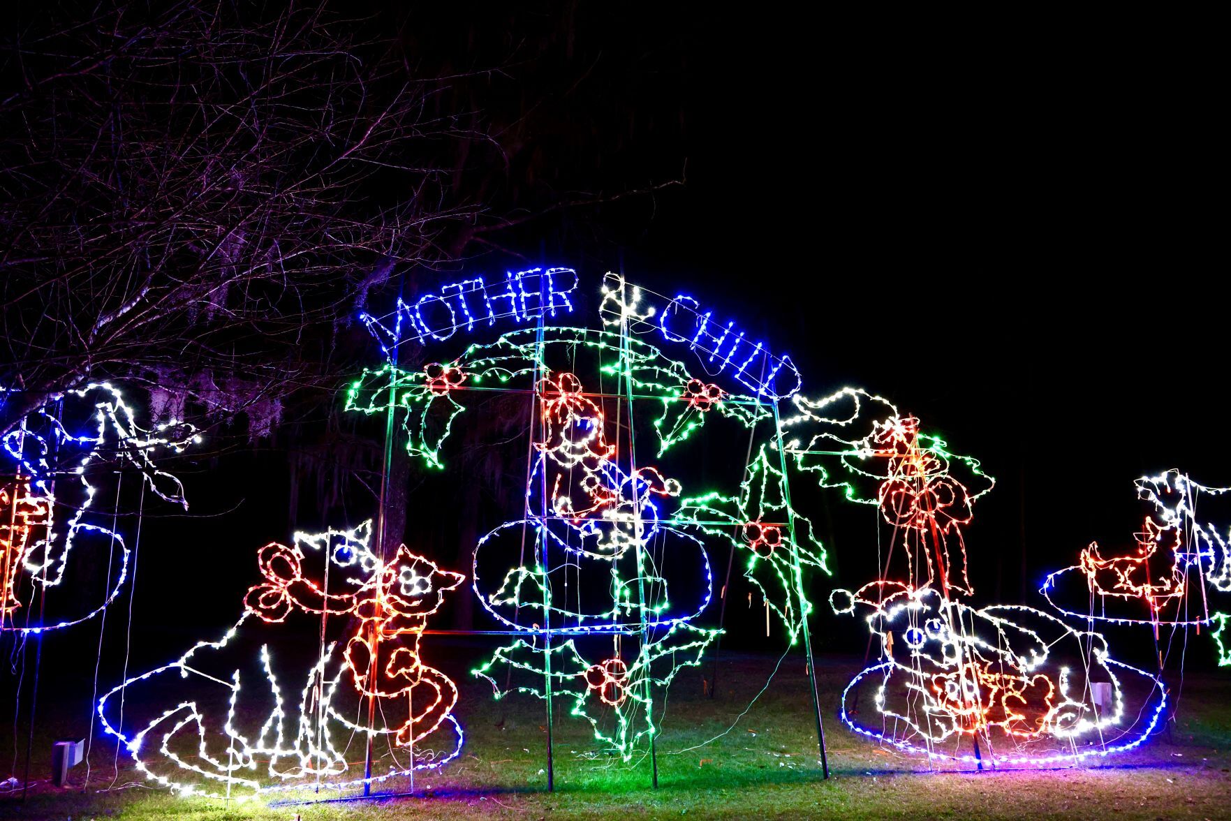 Orangeburg Christmas Lights